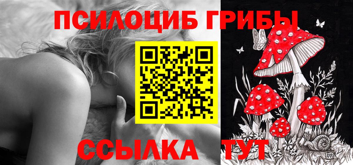 Галлюциногенные грибы GOLDEN TEACHER Наро-Фоминск