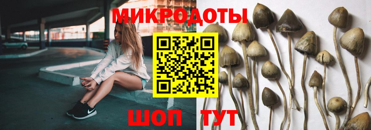 Наро-Фоминск  Псилоцибиновые грибы Psilocybe  Вход с VPN 